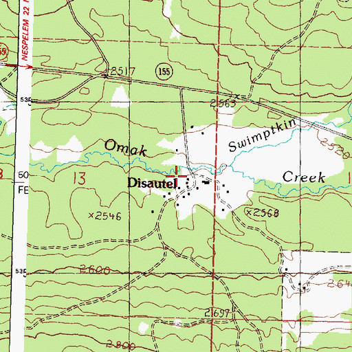 Topographic Map of Disautel, WA