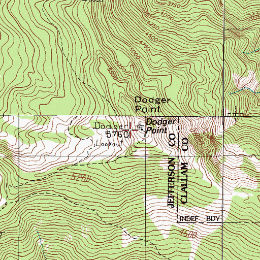 Topographic Map of Dodger Point, WA