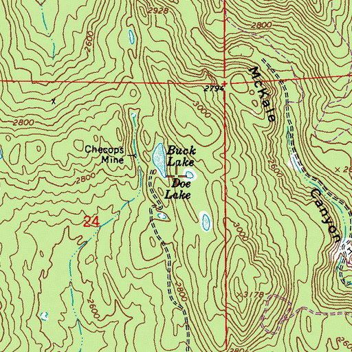 Topographic Map of Doe Lake, WA