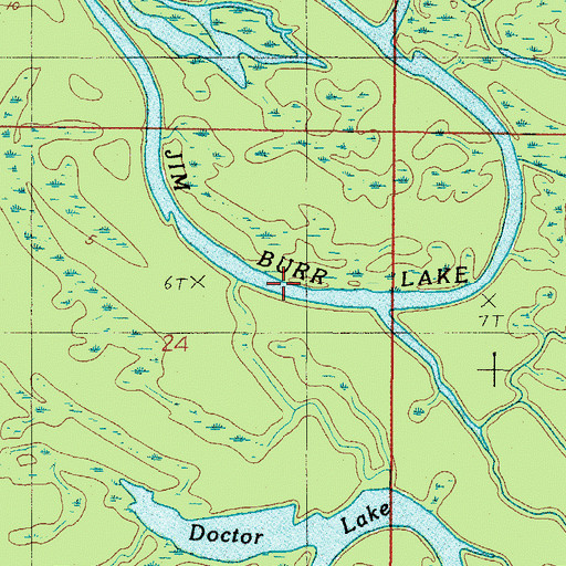 Topographic Map of Jim Burr Lake, AL