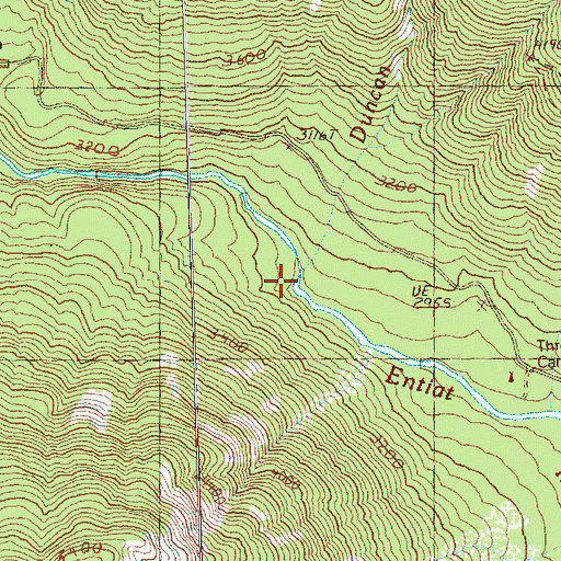 Topographic Map of Duncan Creek, WA