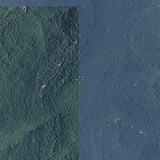 Aerial/Satellite Image of Johnson Top, AL