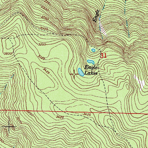 Topographic Map of Eagle Lakes, WA