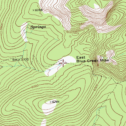 Topographic Map of East Blue Creek Meadow, WA