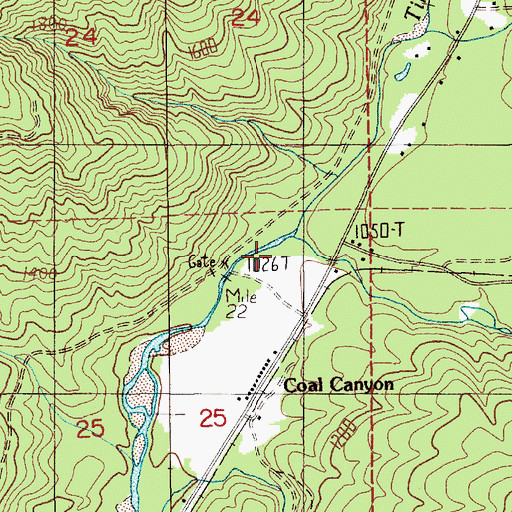 Topographic Map of East Fork Tilton River, WA