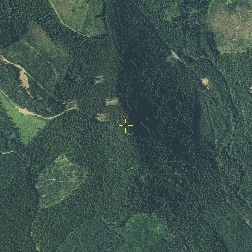 Aerial/Satellite Image of Eckhart Point, WA