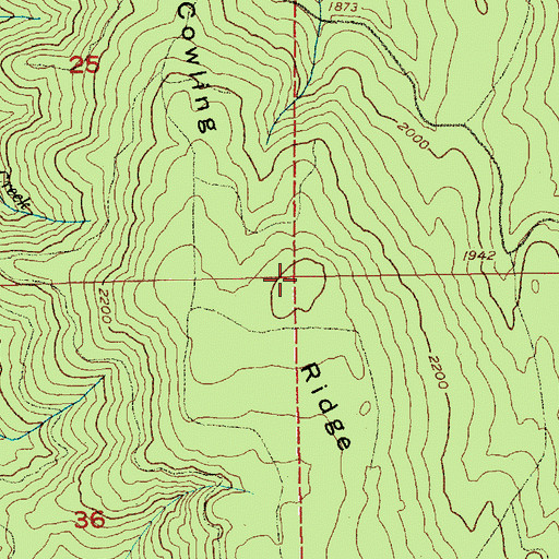 Topographic Map of Electron Lookout, WA