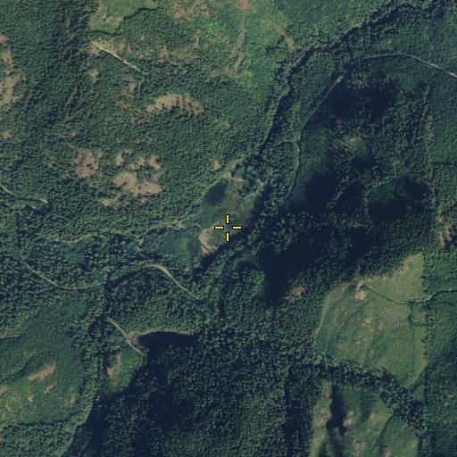 Aerial/Satellite Image of Elk Lake, WA
