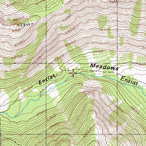 Topographic Map of Entiat Meadows, WA