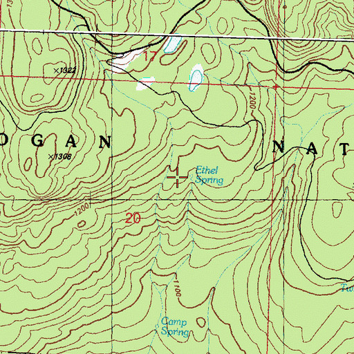 Topographic Map of Ethel Spring, WA
