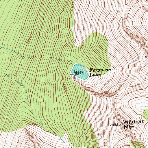 Topographic Map of Ferguson Lake, WA