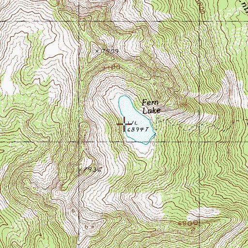 Topographic Map of Fern Lake, WA