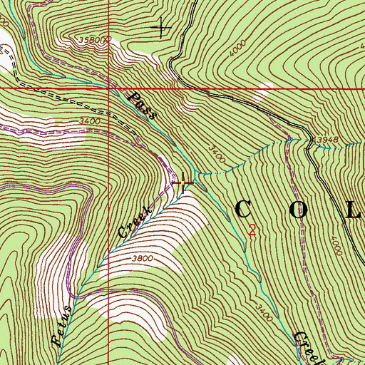 Topographic Map of Fetus Creek, WA