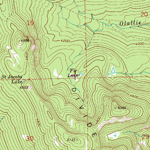Topographic Map of Fir Lake, WA