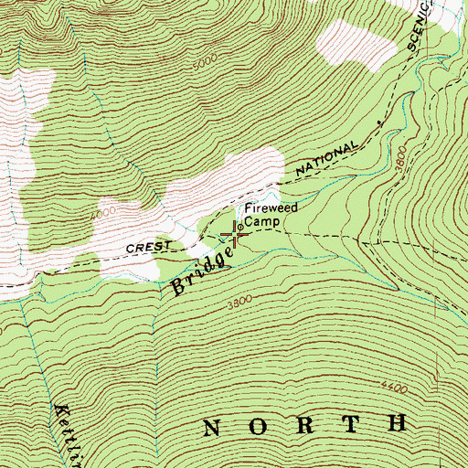 Topographic Map of Fireweed Camp, WA