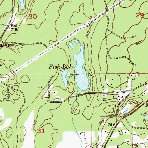 Topographic Map of Fish Lake, WA