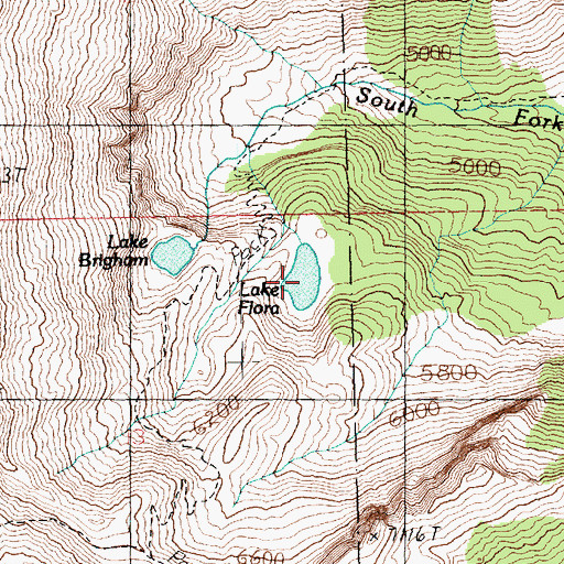 Topographic Map of Lake Flore, WA