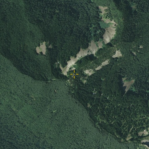 Aerial/Satellite Image of Florence Peak, WA