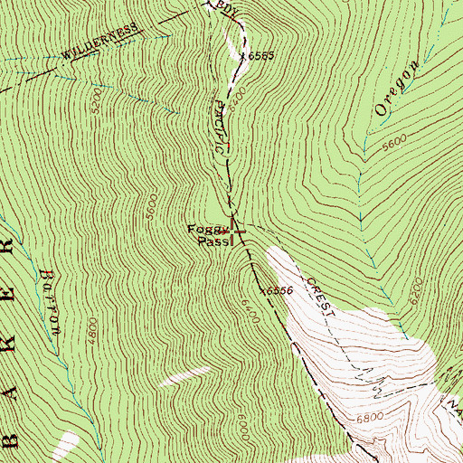 Topographic Map of Foggy Pass, WA
