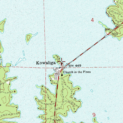 Topographic Map of Kowaliga, AL