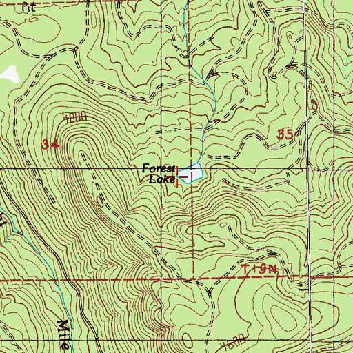 Topographic Map of Forest Lake, WA