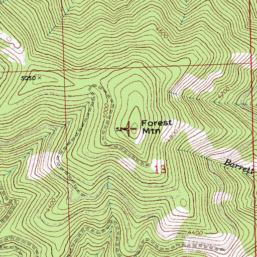 Topographic Map of Forest Mountain, WA