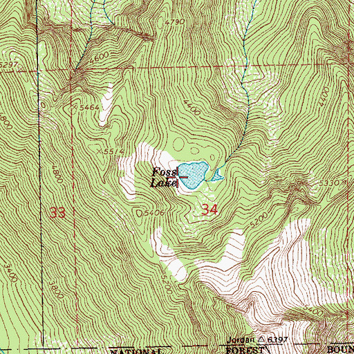 Topographic Map of Foss Lake, WA