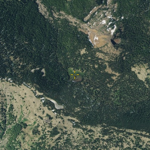 Aerial/Satellite Image of Fox Meadow, WA