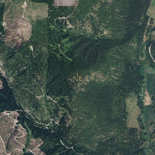 Aerial/Satellite Image of Frederickson Hill, WA