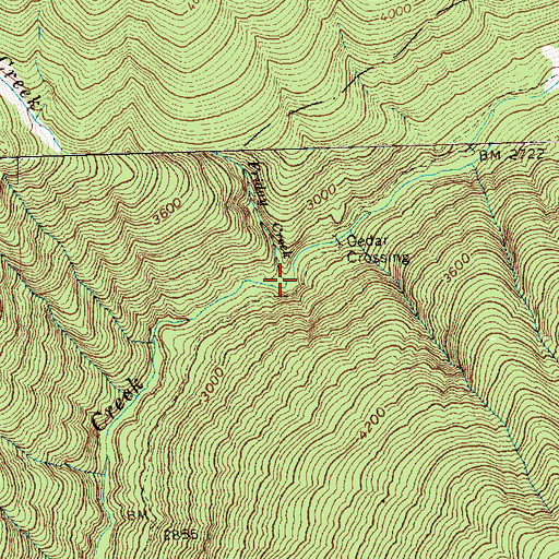 Topographic Map of Friday Creek, WA