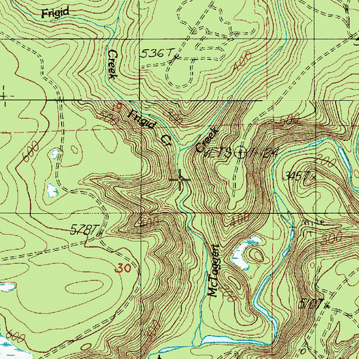 Topographic Map of Frigid Creek, WA