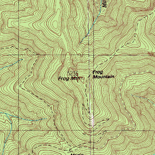 Topographic Map of Frog Mountain, WA