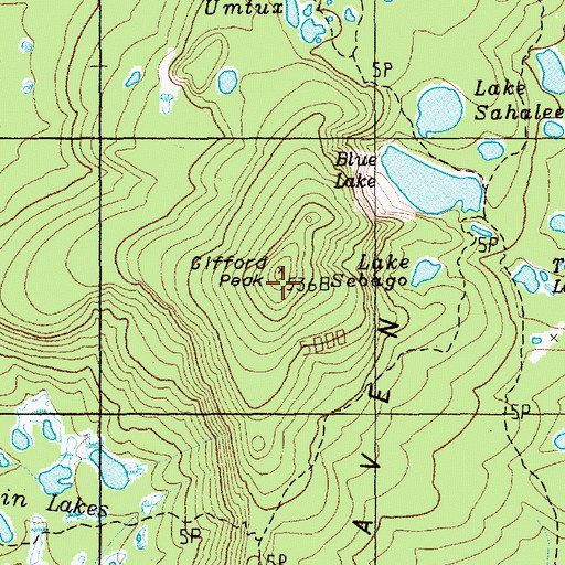 Topographic Map of Gifford Peak, WA
