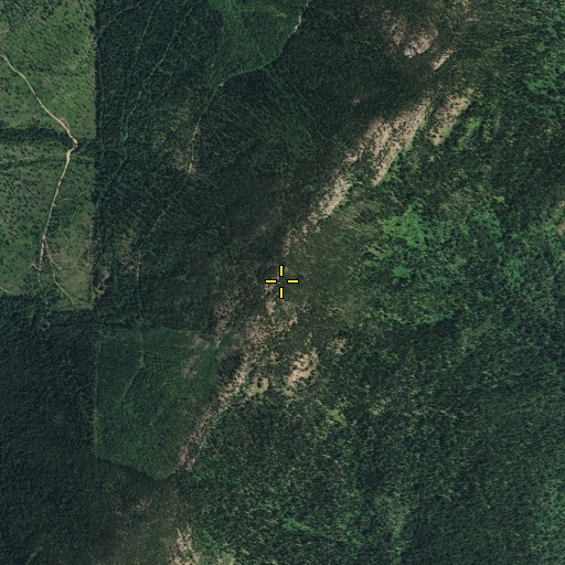 Aerial/Satellite Image of Gillette Mountain, WA