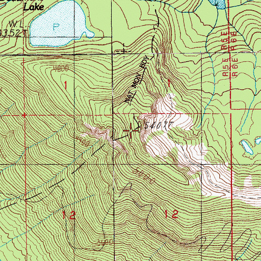 Topographic Map of Goat Mountain, WA
