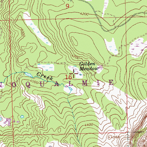 Topographic Map of Golden Meadow, WA