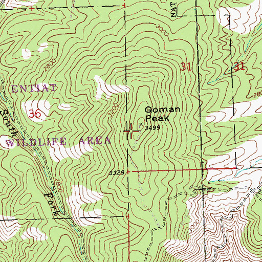 Topographic Map of Goman Peak, WA