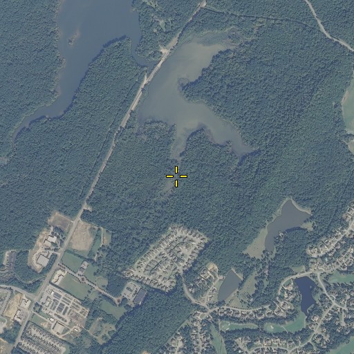 Aerial/Satellite Image of Lee Branch, AL