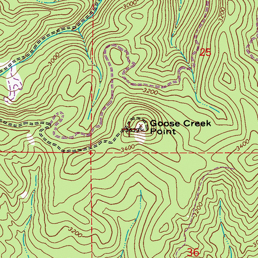 Topographic Map of Goose Creek Point, WA