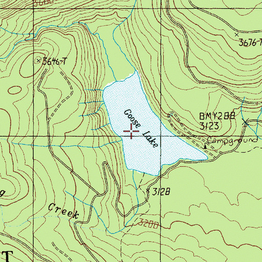 Topographic Map of Goose Lake, WA