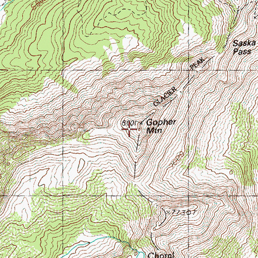 Topographic Map of Gopher Mountain, WA