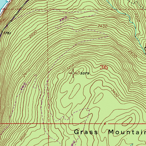 Topographic Map of Grass Mountain, WA