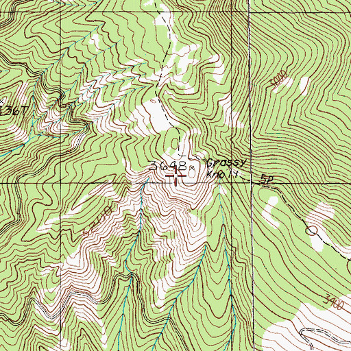 Topographic Map of Grassy Knoll, WA