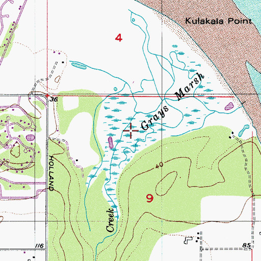 Topographic Map of Grays Marsh, WA