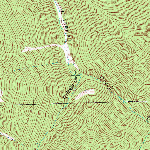 Topographic Map of Grizzly Creek, WA