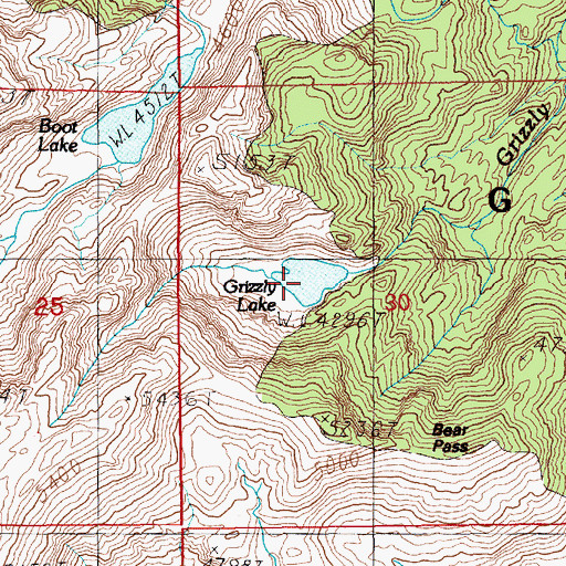 Topographic Map of Grizzly Lake, WA