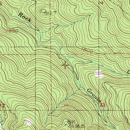 Topographic Map of Grouse Creek, WA