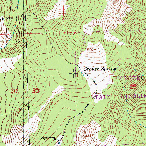 Topographic Map of Grouse Spring, WA