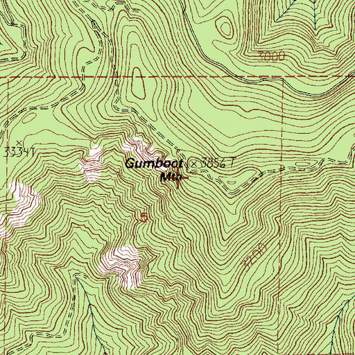 Topographic Map of Gumboot Mountain, WA