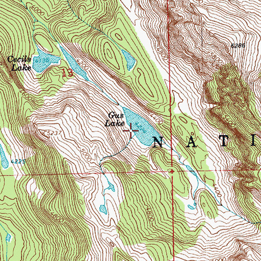 Topographic Map of Gus Lake, WA